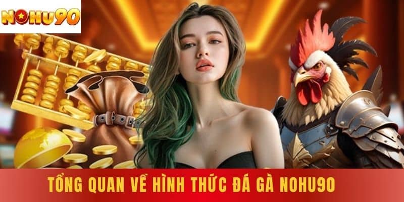 Tổng quan về hình thức đá gà NOHU90