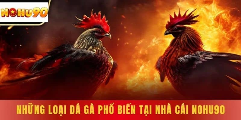 Những loại Đá Gà phổ biến tại nhà cái NOHU90