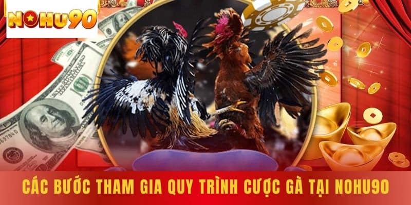 Các bước tham gia quy trình cược gà tại NOHU90