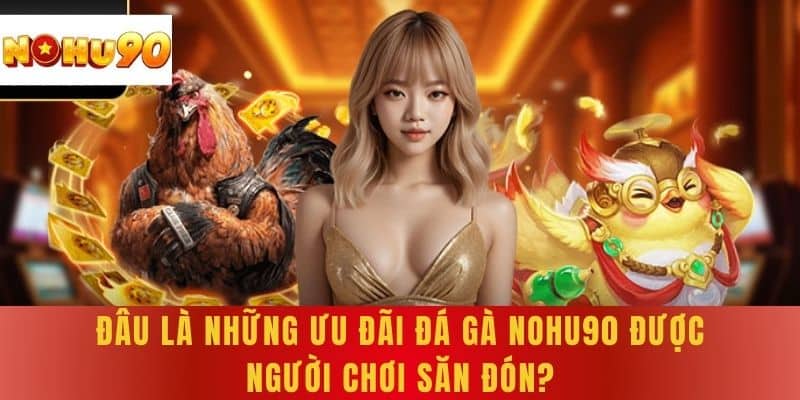 Đâu là những ưu đãi Đá Gà NOHU90 được người chơi săn đón?