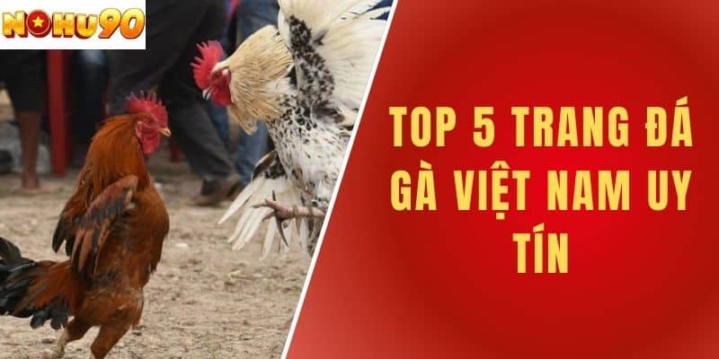 Top 5 Trang Đá Gà Việt Nam Uy Tín