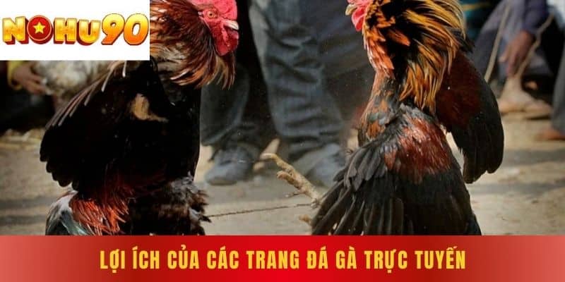 Lợi Ích Của Các Trang Đá Gà Trực Tuyến