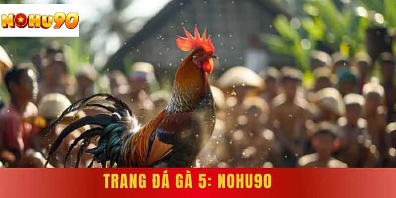 Trang Đá Gà 5: NOHU90